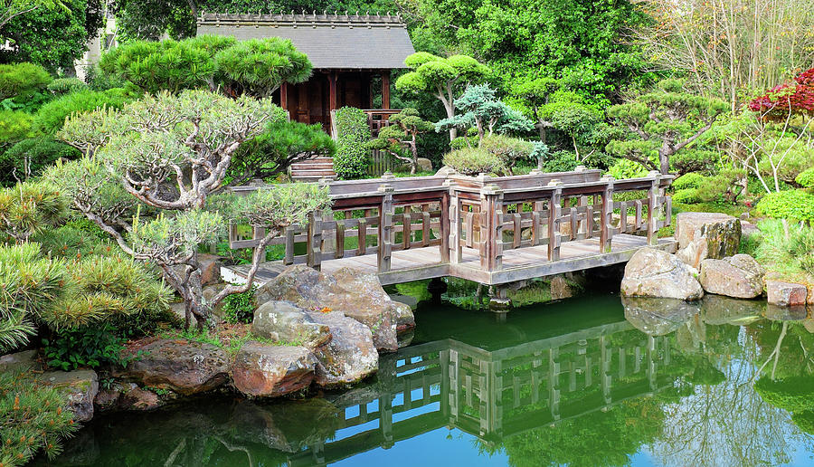 Hayward Japanese Gardens - Hayward Ca - Museum - Artgeek